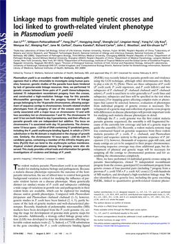 Linkage Maps from Multiple Genetic Crosses and Loci Linked to Growth-Related Virulent Phenotype in Plasmodium Yoelii