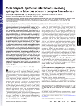 Mesenchymal–Epithelial Interactions Involving Epiregulin in Tuberous Sclerosis Complex Hamartomas