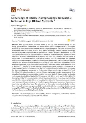 Mineralogy of Silicate-Natrophosphate Immiscible † Inclusion in Elga IIE Iron Meteorite
