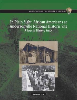 In Plain Sight: African Americans at Andersonville National Historic Site a Special History Study