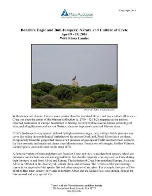 Bonelli's Eagle and Bull Jumpers: Nature and Culture of Crete