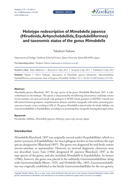 Hirudinida, Arhynchobdellida, Erpobdelliformes) and Taxonomic Status of the Genus Mimobdella