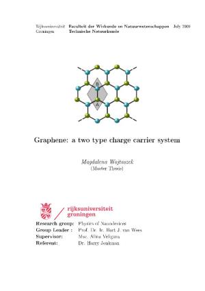 Graphene: a Two Type Charge Carrier System