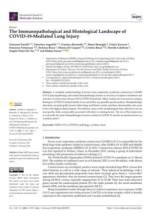 The Immunopathological and Histological Landscape of COVID-19-Mediated Lung Injury