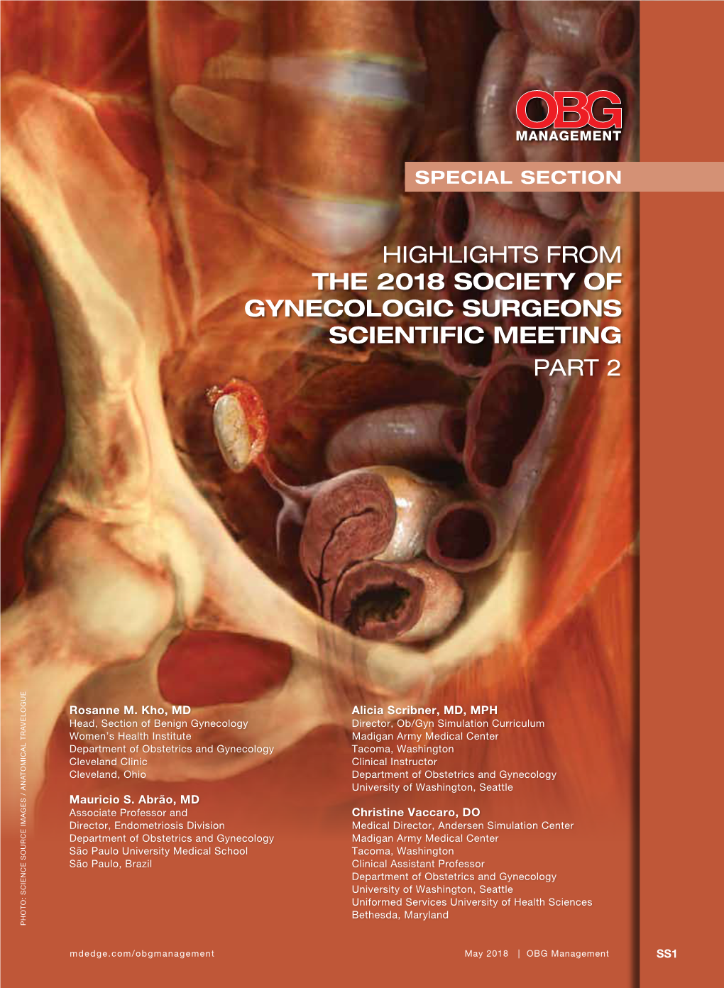 Highlights from the 2018 Society of Gynecologic Surgeons Scientific Meeting Part 2