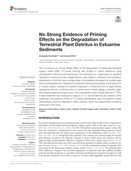 No Strong Evidence of Priming Effects on the Degradation of Terrestrial Plant Detritus in Estuarine Sediments
