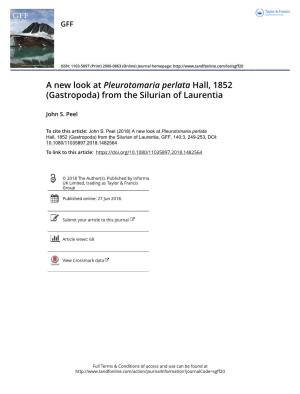 A New Look at Pleurotomaria Perlata Hall, 1852 (Gastropoda) from the Silurian of Laurentia