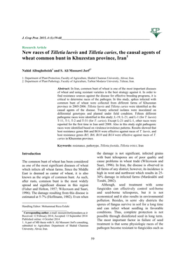 New Races of Tilletia Laevis and T. Caries, the Causal Agents of Wheat