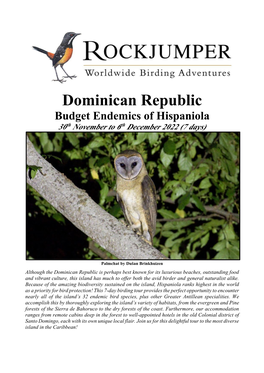 Dominican Republic Budget Endemics of Hispaniola 30Th November to 6Th December 2022 (7 Days)