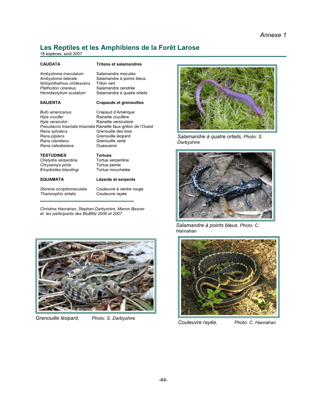 Les Reptiles Et Les Amphibiens De La Forêt Larose 18 Espèces, Août 2007