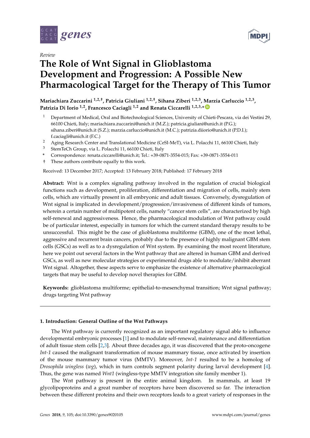 The Role of Wnt Signal in Glioblastoma Development and Progression: a Possible New Pharmacological Target for the Therapy of This Tumor