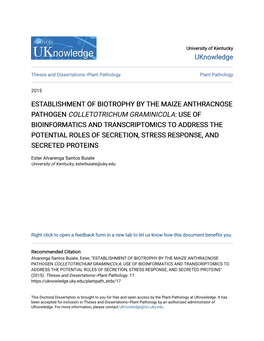 Establishment of Biotrophy by the Maize Anthracnose