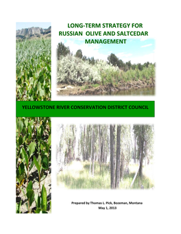 Long-Term Strategy for Russian Olive and Saltcedar Management