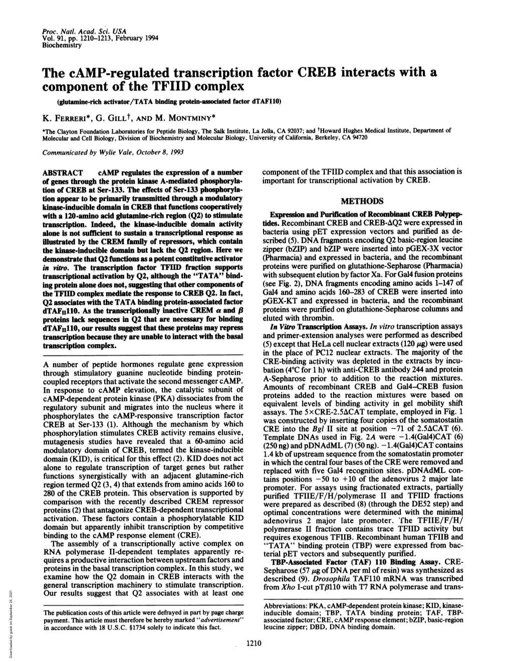 The Camp-Regulated Transcription Factor CREB Interacts with A