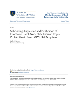 Subcloning, Expression and Purification of Functional E. Coli Nucleotide Excision Repair Protein Uvra Using IMPACT-CN System Cathy W