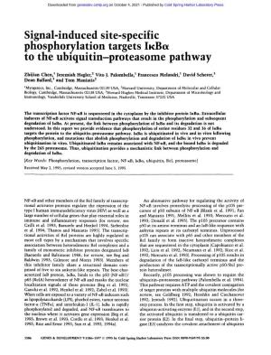 Signal-Induced Site-Specific Phosphorylation Targets IKB X to the Ubiquitin-Proteasome Pathway
