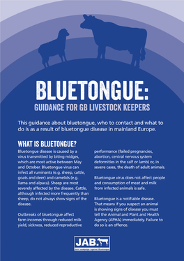 Bluetongue: Guidance for GB Livestock Keepers