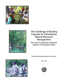 333-The-Challenge-Of-Building-Capacity-For-Participatory-Resource-Management-The-Case