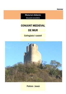 Conjunt Medieval De Mur