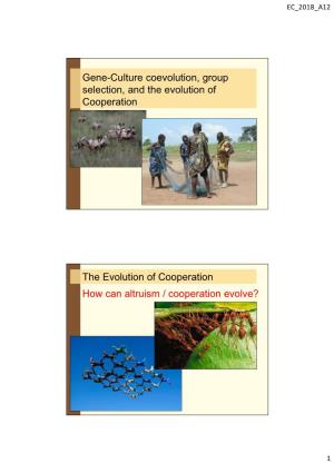 Gene-Culture Coevolution, Group Selection, and the Evolution of Cooperation