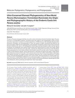 Ultra-Conserved Element Phylogenomics of New World Ponera