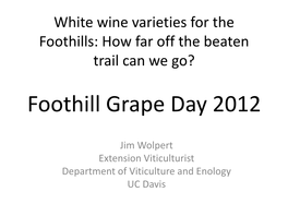 Foothill Grape Day 2012