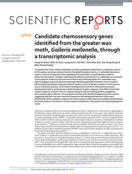 Candidate Chemosensory Genes Identified from the Greater Wax Moth