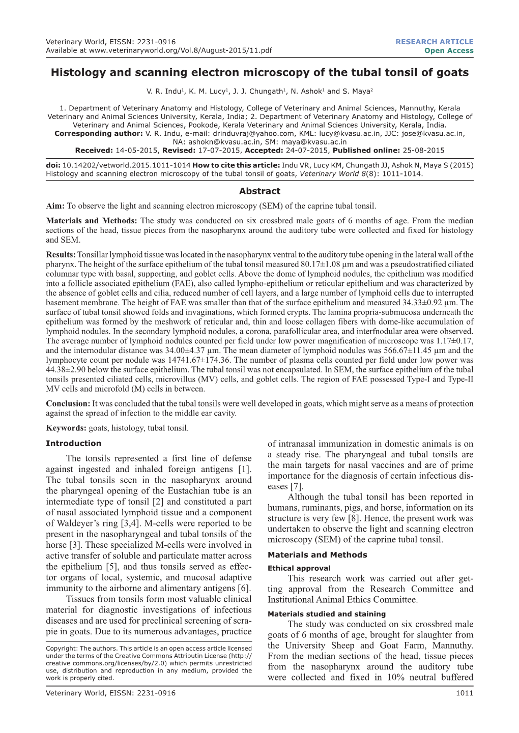 about-tonsil-tech-devices-engineered-for-tonsil-stone-removal