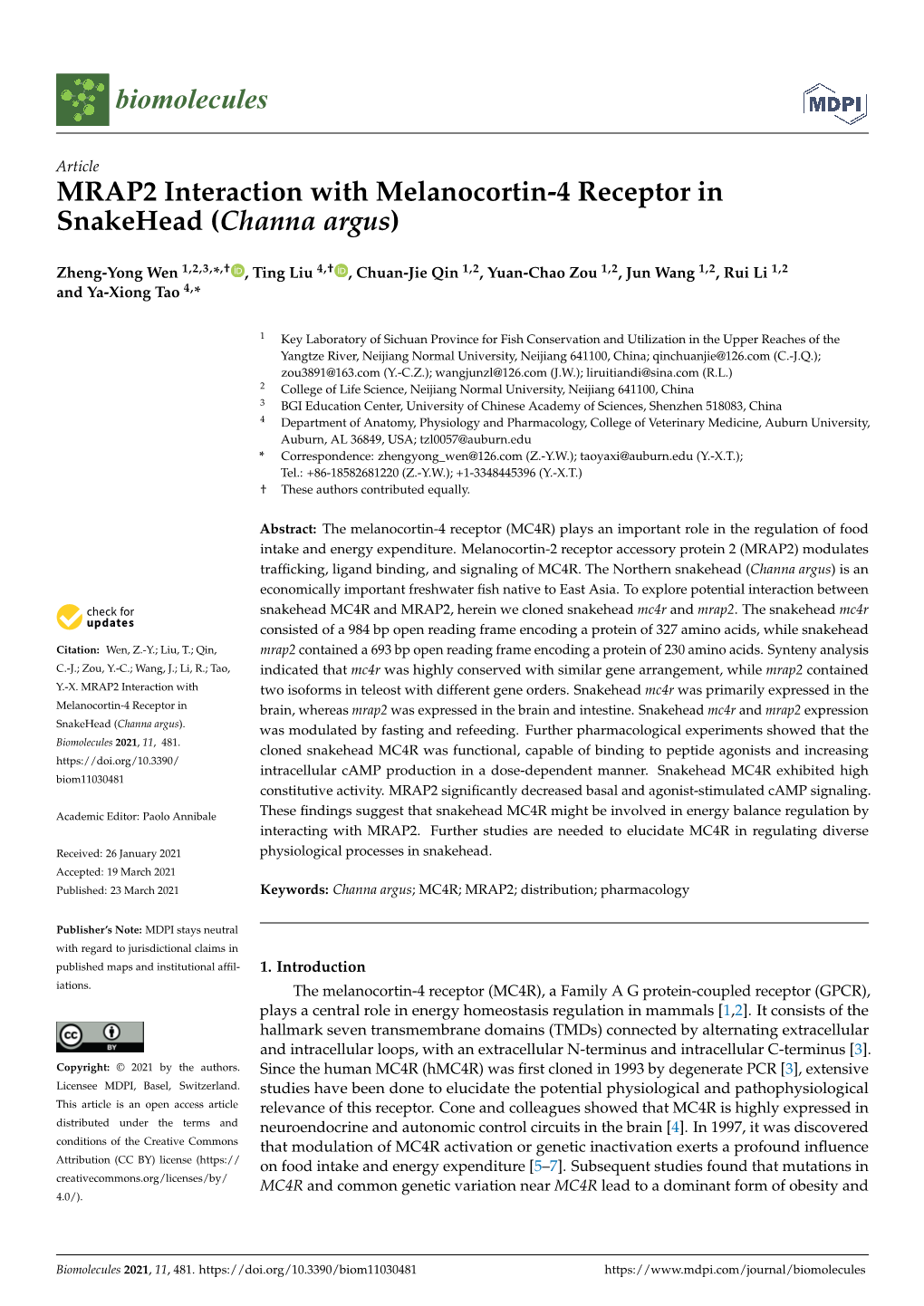 MRAP2 Interaction with Melanocortin-4 Receptor in Snakehead (Channa Argus)