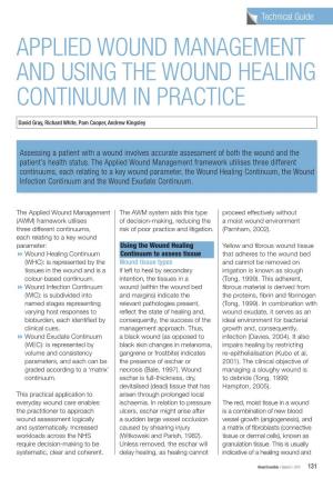 Applied Wound Management and Using the Wound Healing Continuum in Practice