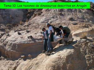 Tema 10. Los Taxones De Dinosaurios Descritos En Aragón Arenysaurus Lirainosaurus Blasisaurus