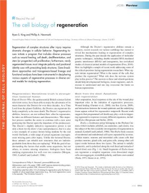 The Cell Biology of Regeneration
