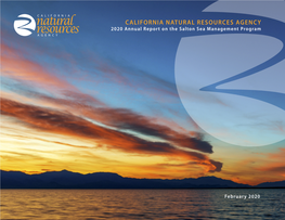 2020 Annual Report on the Salton Sea Management Program