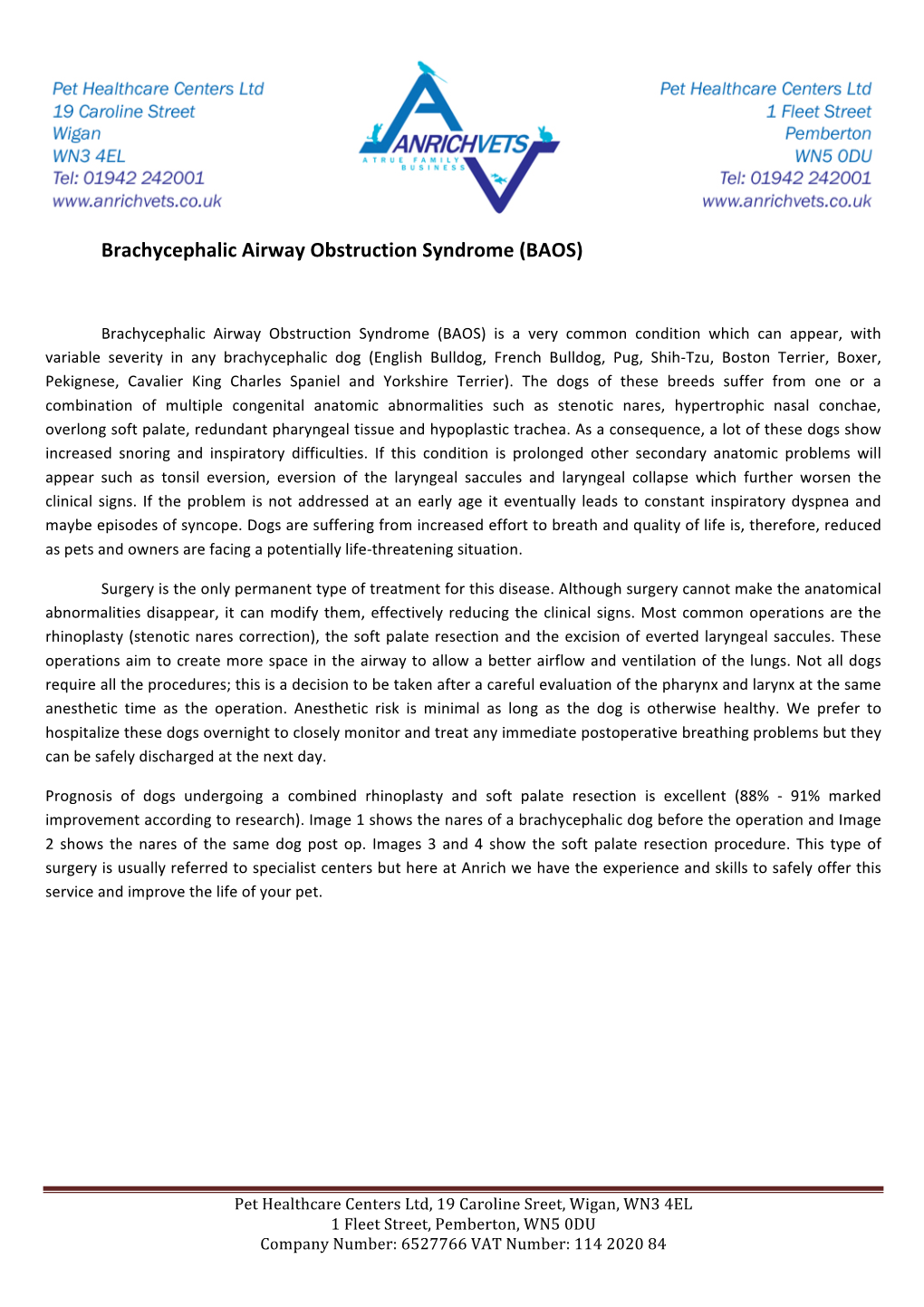 Brachycephalic Airway Obstruction Syndrome (BAOS)