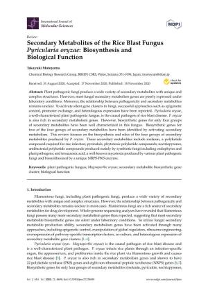 Secondary Metabolites of the Rice Blast Fungus Pyricularia Oryzae: Biosynthesis and Biological Function