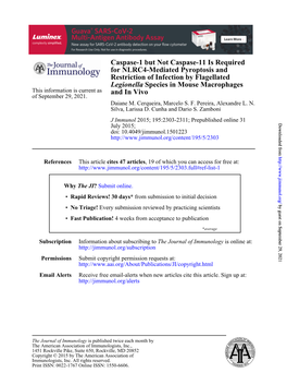 And in Vivo Species in Mouse Macrophages Legionella