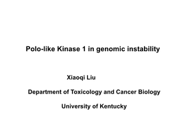 Polo-Like Kinase 1 in Genomic Instability