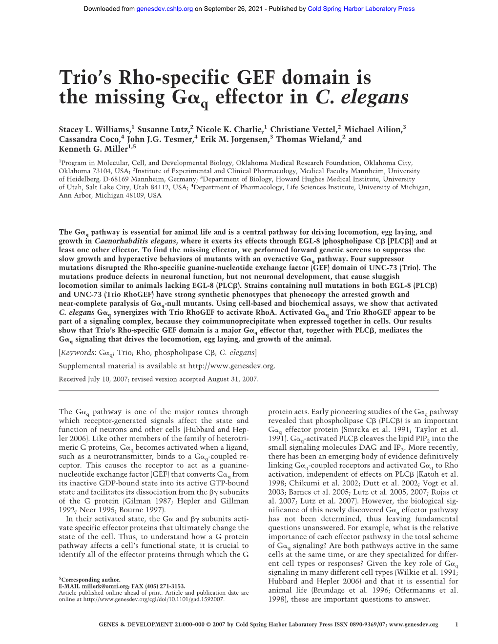 Trio's Rho-Specific GEF Domain Is the Missing G Q Effector in C. Elegans