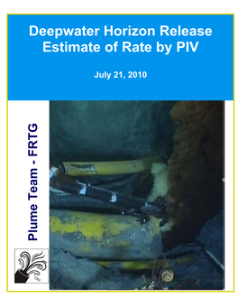 Deepwater Horizon Release Estimate of Rate by PIV