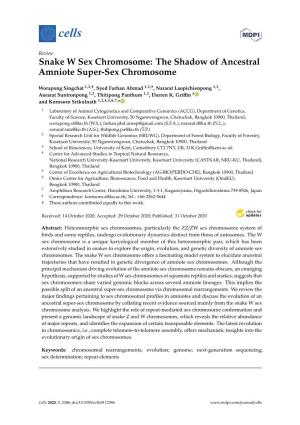 Snake W Sex Chromosome: the Shadow of Ancestral Amniote Super-Sex Chromosome