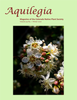 Aquilegia 2020 Winter Volume 44-1