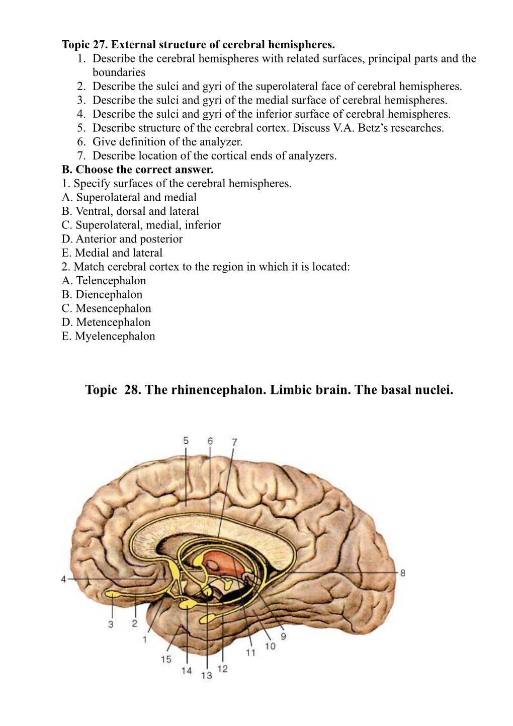 Topic 28. the Rhinencephalon. Limbic Brain. the Basal Nuclei. Limbic System