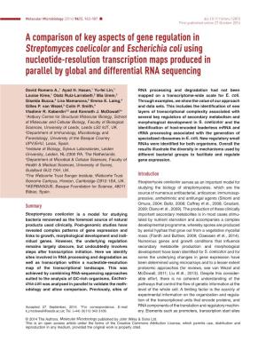 A Comparison of Key Aspects of Gene Regulation in Streptomyces