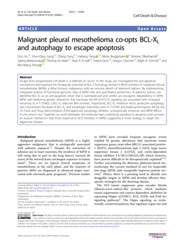 Malignant Pleural Mesothelioma Co-Opts BCL-XL and Autophagy to Escape Apoptosis