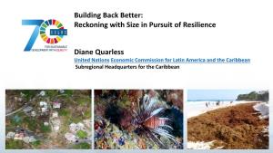 Reckoning with Size in Pursuit of Resilience