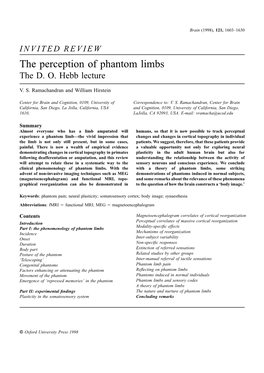 INVITED REVIEW the Perception of Phantom Limbs the D