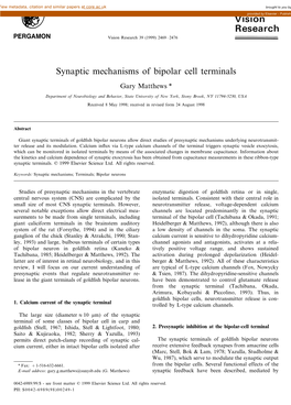 Synaptic Mechanisms of Bipolar Cell Terminals