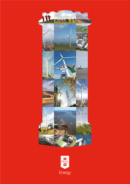 Peel Energy Brochure