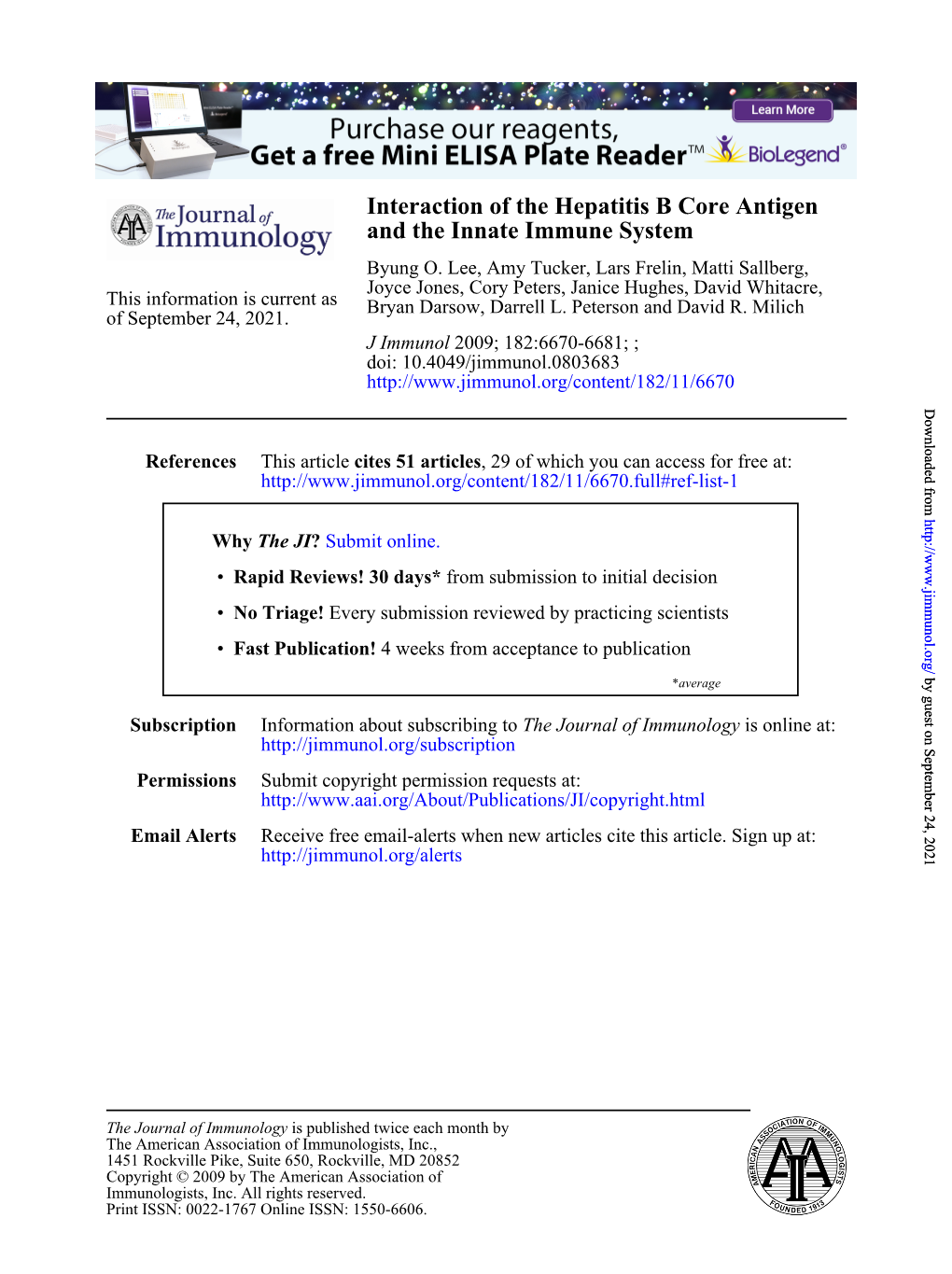 And the Innate Immune System Interaction of the Hepatitis B Core