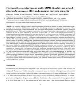 Ferrihydrite Associated Organic Matter (OM) Stimulates Reduction by Shewanella Oneidensis MR-1 and a Complex Microbial Consortia Rebecca E